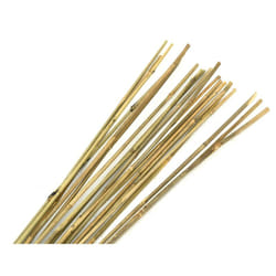 Tuteurs en bambou naturel (Lot de 20)