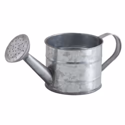 Aubry Gaspard GAR 1020, Zinc