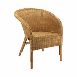 Aspect Matériau principal Moelle de rotin Dimensions Hauteur (en cm) 73,00 Hauteur assise (en cm) 39,00 Longueur (en cm) 60,0 ...