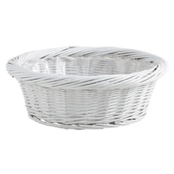 Aubry Gaspard CCO 1273 P Panier