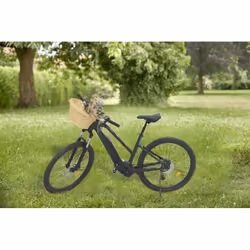 Aubry Gaspard PVE 1120 Panier