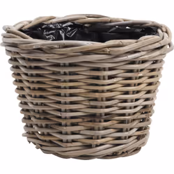 Aubry Gaspard CCO 7240 P, Rotin, Panier, 250 mm, 700 g