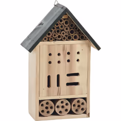 Aubry Gaspard AMI 1080, Autonome, Bois, Bois