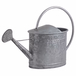 Aubry Gaspard GAR 1480, Zinc