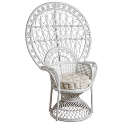 Aubry Gaspard MFA 2960 C