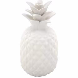 Aubry Gaspard DMA 1390, Blanc, Caoutchouc, 120 mm, 120 mm, 240 mm, 630 g