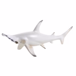 Aubry Gaspard DAN 2650, Blanc, Caoutchouc, 540 mm, 185 mm, 205 mm, 1 kg