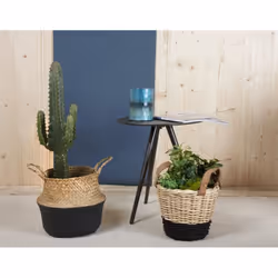 Aubry Gaspard DBO 3440 V bougeoir Verre