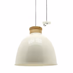 Aubry Gaspard NLA 2510, 1 ampoule(s), E27