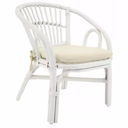 Aubry Gaspard NFE 1530 C, Rotin, 1 pièce(s), 3,5 kg, 390 mm, 490 mm, 500 mm