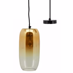 Aubry Gaspard NLA 2890 V, 1 ampoule(s), E27