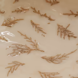 Aubry Gaspard - Corbeille en manguier déco fougères Diamètre 25 cm