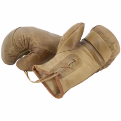 Aubry Gaspard DMA 1700 paire, Boîte de rangement, Carré, Cuir, Monochromatique, Intérieure, 310 mm