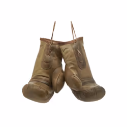Aubry Gaspard DMA 1700 paire Boîte de rangement Carré Cuir