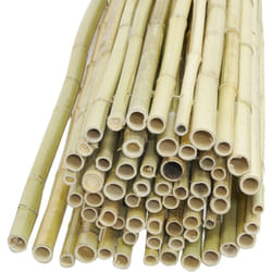 Canisse en bambou 1,5 x 1,8 m