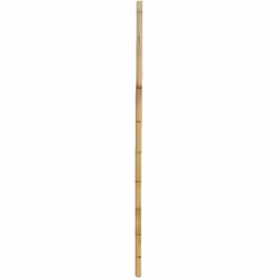 Aspect Matériau principal Bambou naturel Dimensions Diamètre (en cm) 6-8 Hauteur (en cm) 240,00 Autres caractéristiques Infor ...