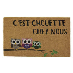 Aubry Gaspard - Paillasson coco intérieur extérieur 75 x 45 cm C'est chouette chez nous