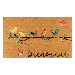 Aubry Gaspard - Paillasson coco intérieur extérieur 75 x 45 cm Bienvenue oiseaux
