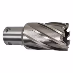 Caractéristiques techniques Fraises pour perceuse magnétique MAKITA HB500 (Longueur 30mm) Emmanchement fraises : Weldon 19 mm ...