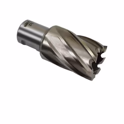 FRAISE L30 31MM MAKITA 31S FRAISE L30 31MM MAKITA 31SFRAISE L30 31MM