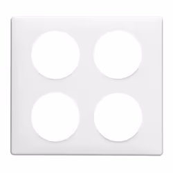 Legrand 068608, 1 pièce(s)
