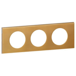 Legrand 069133 Plaque de commutation et obturateur