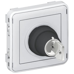 Interrupteur étanche PLEXO 3A 250V - LEGRAND - clé mécanisme enjoliveur