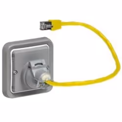 Legrand 069581, RJ-45, Gris, Blanc, IP55, 65 g