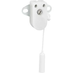 Legrand - Mini-inter 2A 250V à tirette + plaque 2 trous