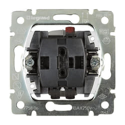 Legrand 775804 interrupteur d'éclairage Plastique Acier inoxydable, Transparent