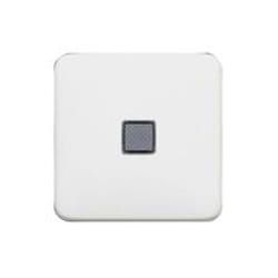 Legrand 776211 Plaque de commutation et obturateur Blanc