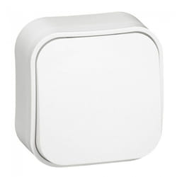 Legrand 782405 interrupteur d'éclairage ABS, Polycarbonate (PC) Blanc
