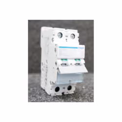 Disjoncteur 50A 2P courbe B 2 modules 6-10kA bornes à vis pour pose sur rail DIN modulaire HAGER Disjoncteur 2P 6-10kA courbe ...