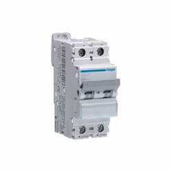 Hager NFN220 Disjoncteur 2P 6 10kA C 20A 2M Disjoncteur 2P 6-10kA courbe C - 20A 2 modules