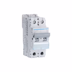 Hager - Disjoncteur 2 Pôles 10kA courbe c 40A 2 modules NFN240