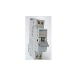 Disjoncteur 1P+N 6-10kA courbe d 1A 1 module Hager NGT701