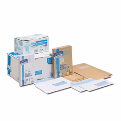 GPV France 3313 enveloppe DL (110 x 220 mm) Blanc 200 pièce(s)