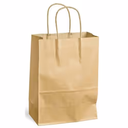 Sac à Poignées Torsadées Kraft 100g Taille L 40x16x45cm Brun