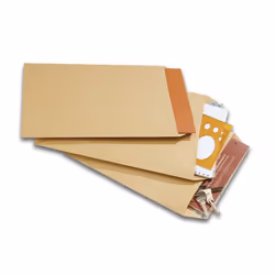 GPV France 39021 enveloppe Marron 10 pièce(s)