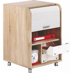 Caisson de Bureau Chêne Bicolore - Blanc - L 47.2 x l 47 x H 49.2 cm