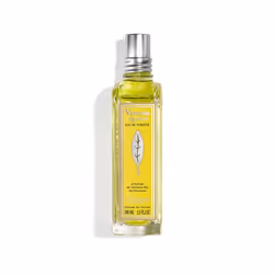 L'Occitane Verbena Agrumi, Femmes, 100 ml, Pamplemousse, Verveine, Verveine, Cèdre