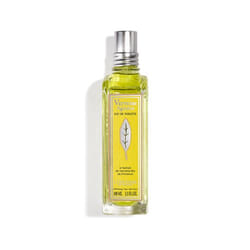 L'Occitane Verbena Agrumi 100ml Femmes