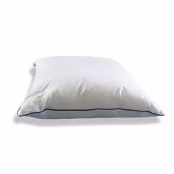 Linge des familles MOELLEUX 60X60 oreiller Carré 60 x 60 cm Coton Blanc
