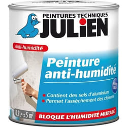 Peinture anti-humidité - murs intérieurs - 0.5 L