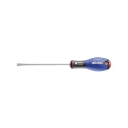 Expert - Tournevis fente 5,5x100 E165098