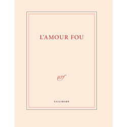 Grand carnet de dessin "L'amour fou" (papeterie)