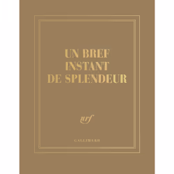 ISBN Carnet carré «Un bref instant de splendeur» (papeterie), Français, 208 pages