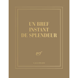 ISBN Carnet carré «Un bref instant de splendeur» (papeterie)