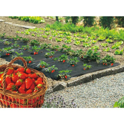 Nortene - Film de paillage spécial fraises 'Fresafilm' - 1,40 x 20 m