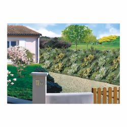 Toile de paillage spécial paysages .En pp tissé vert 100g/m2. Perméable à l'air et à l'eau. Grande résistance aux passages -  ...